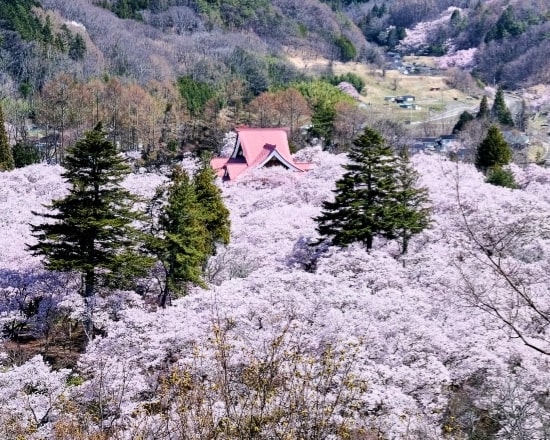 高遠城址