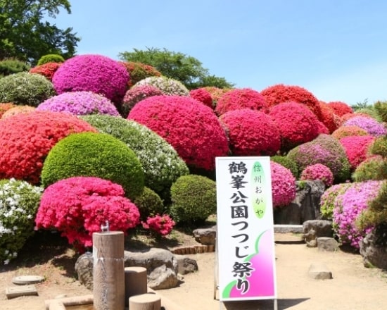 岡谷鶴峯公園